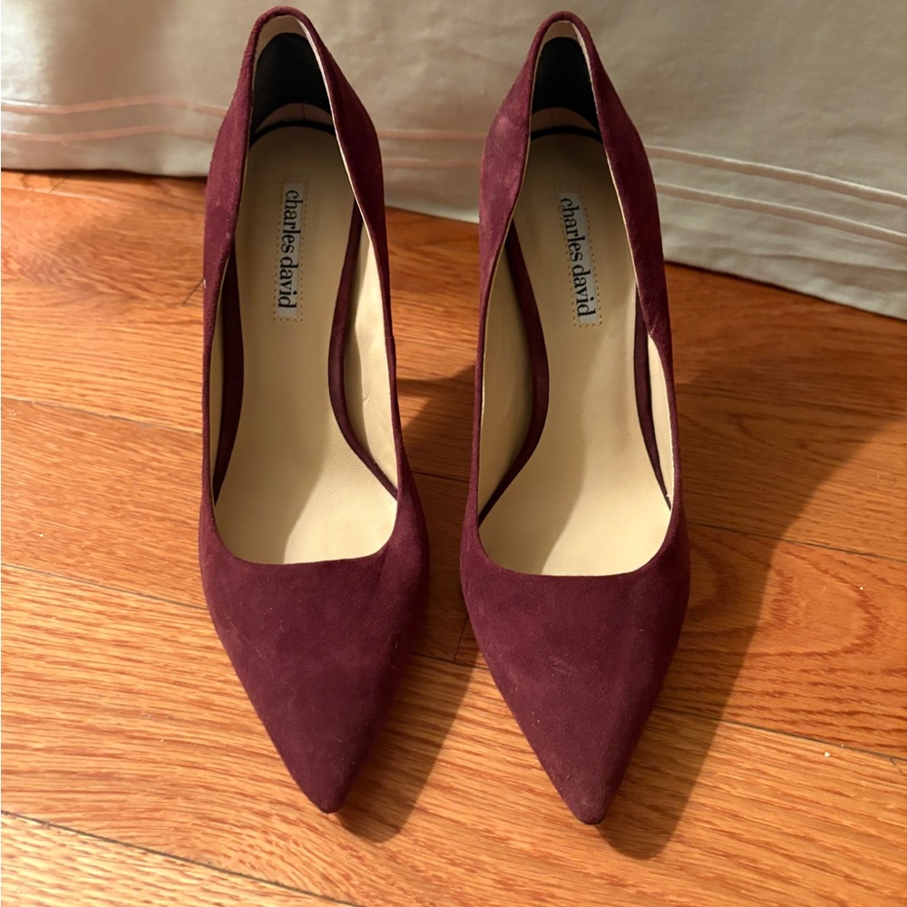 Charles David Women's Suede Pointed-Toe Pumps in Bugundy